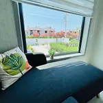 Bana Birak Tiny House